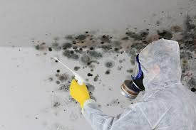 Why You Should Choose Our Mold Remediation Services in Foster Brook, PA